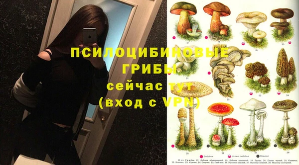 мяу мяу мука Михайловка
