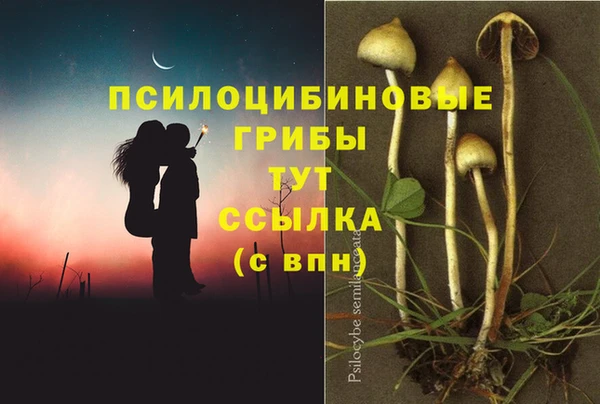 PSILOCYBIN Бугульма