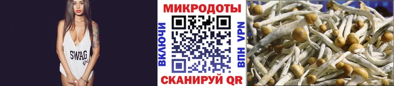 купить наркоту  darknet телеграм  Галлюциногенные грибы Psilocybine cubensis  Благовещенск 