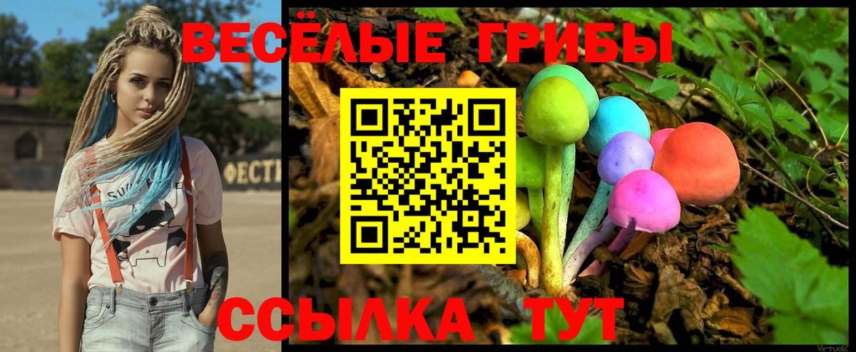 Псилоцибиновые грибы Psilocybine cubensis Благовещенск