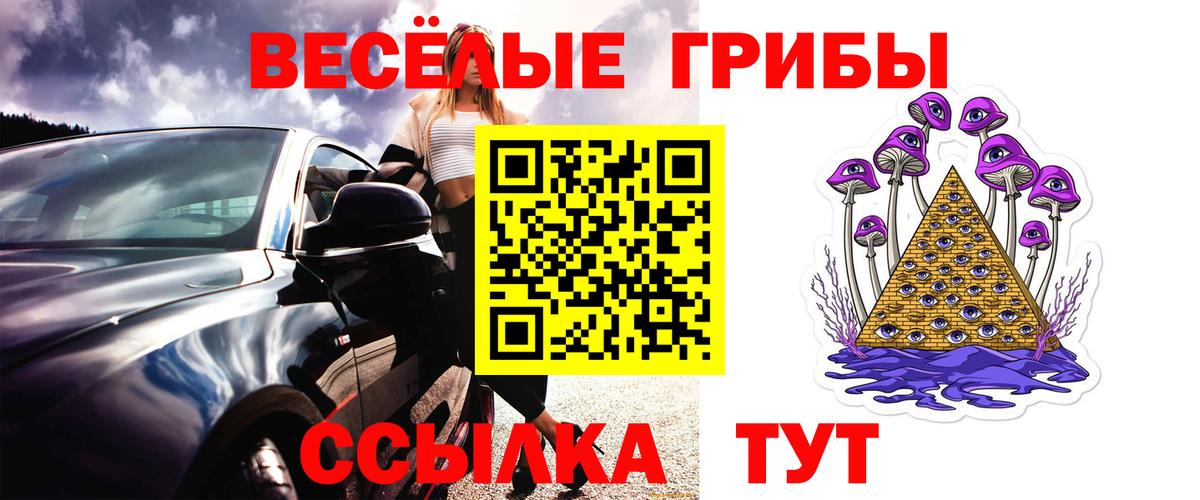 Благовещенск  Галлюциногенные грибы GOLDEN TEACHER  Вход с VPN 