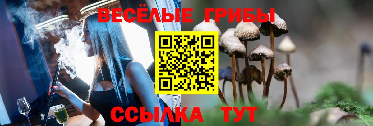 Галлюциногенные грибы мухоморы  Благовещенск 