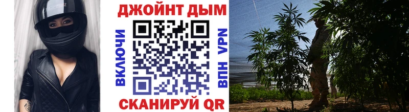 мориарти официальный сайт  Благовещенск  Марихуана план 